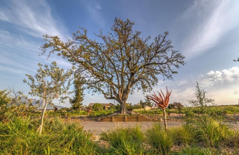 3 Bedroom Property for Sale in Stellenbosch Central Western Cape